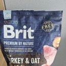 목감동물병원 | 강아지 간종양,항문낭종양 발견 후 2차병원 선택 후기 1편(발견)