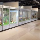 새마을운동테마공원전시관 이미지