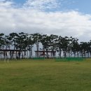 송천 파크골프장 이미지