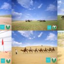 수성여행사 이미지