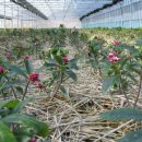 승호농장 이미지