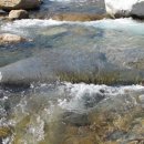 그린민박 이미지