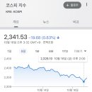 와이지홀딩스 이미지
