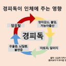 초이테라피 이미지