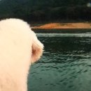 기봉이 농장 네이버블로그