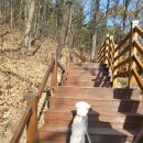 화원명곡숲 이미지