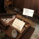 해빗 (hav-it) 이미지