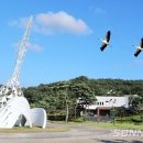 예산-44 이미지
