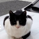 태안갈비 이미지