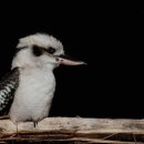 봉정요양원 이미지