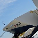 수약국 | 26년 신규취항 퀸메리호 대형견 동반 목포 제주왕복_ 차량선적, 입마개 여부 등 자세한 이용후기