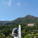 산청 동의보감촌 이미지