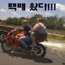 안녕,루미 이미지