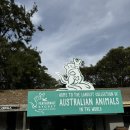 정 ‘S 커피앤정 ‘S 식당 | 호주 시드니 Day 4 | 고 호주 블루마운틴 내돈내산 투어 (페더데일·링컨스 락·로라마을·에코포인트...