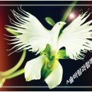 마음이 머무는곳 이미지