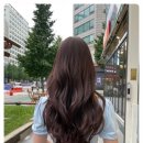 르본미용실 이미지