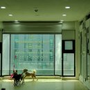 더도그맨션 이미지