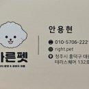 바른 애견 이미지