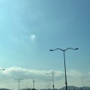 탄도칼국수