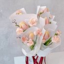 럭스플로스 이미지