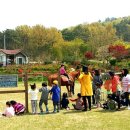 죽청대파니마을 이미지