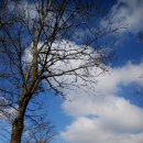 수림목장 이미지