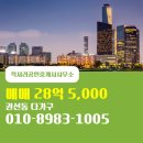 럭셔리공인중개사사무소 이미지
