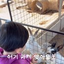 화합로L 네이버블로그