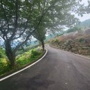 바람공원 화장실 이미지