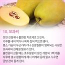 좋은씨앗 이미지