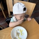 황도면옥 | 보통저수지 황도면옥(바지락 칼국수, 보리밥, 막걸리) 후기 / 15개월 아기가 잘 먹은 메뉴