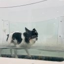 멍쓰홀릭 이미지