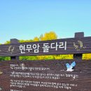 [철원] 여행 직탕폭포 현무암 돌다리 사진찍기 좋은 직탕폭포 후기 (주차장 및 안내)