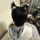 주인시대라이브주점 | [10월 1주차]