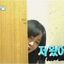 알렉스 이미지