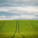 보리창고 이미지