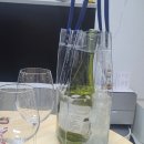 [와인보냉백 추천] 빈토리오 와인칠링커버 후기
