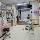 철규 | 시흥 은계 철규네사진관 | 5살 생일 기념 성장사진 촬영 솔직 후기