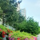 강릉실비식당 이미지