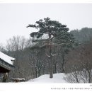 행운떡집 - 용산구 원효로93길 9-3 | 행운떡집