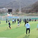 퓨젼스포츠