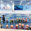 아쿠아키즈&스포키즈 | 포항키즈수영장 아쿠아키즈앤스포키즈에서 유아체육 수업들어요~