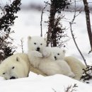 사진마을 이미지