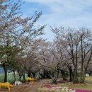 성송초등학교 이미지