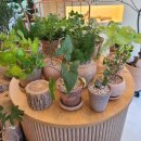 용연동길 이미지