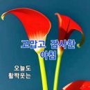 바램이머무는곳 이미지