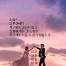 다섯번째계절 이미지