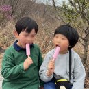 여수 영취산 진달래 아이랑 등산코스 사진 포인트 추천