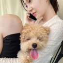 백진희 카카오 검색결과