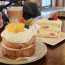 이케아 앞 야외주차장 횡단보도 | 기흥 카페 이케아 아울렛 근처 베이커리 맛있는 떼레노시떼